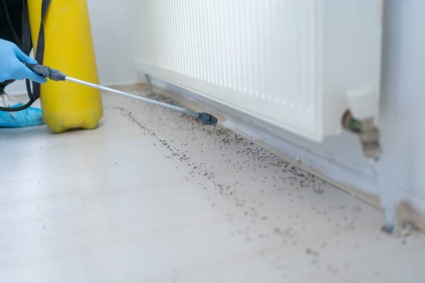 Best Pest Prevention Services  in Belvedere, CA